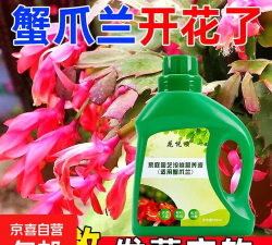 家庭养花用生根粉