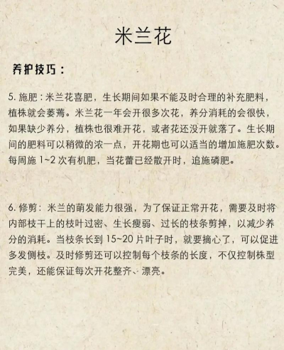 家庭养花用生根粉