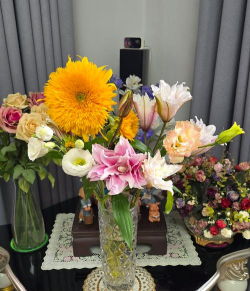 家庭养花用生根粉