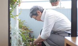 家庭养花用生根粉