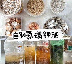 家庭养花用生根粉