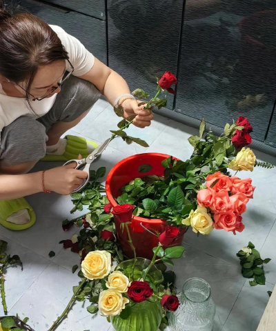 家庭养花用生根粉