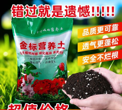 家庭养花用生根粉