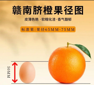 青秋脐橙与赣南脐橙哪个好