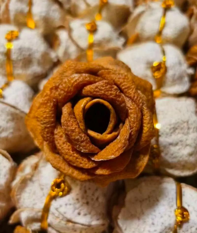 陈皮养花有哪些