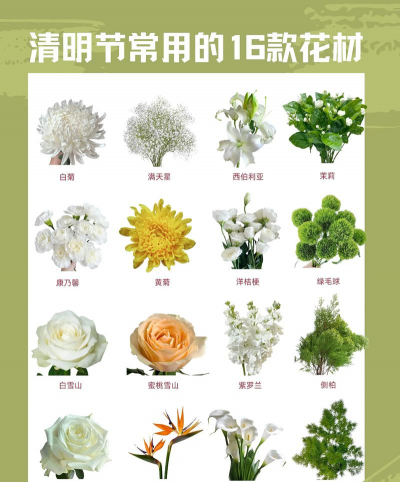 什么花有用途