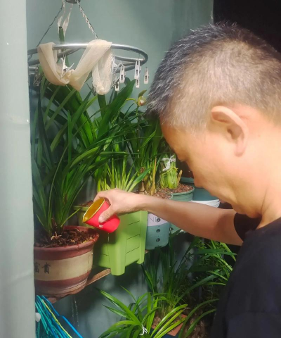 家庭养花用生根粉