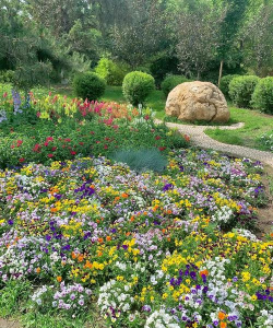 长春花卉在什么地方