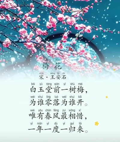梅花这首是什么样的梅花