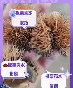 板栗壳如何养花
