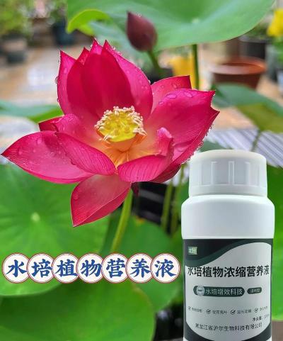 家庭养花用生根粉