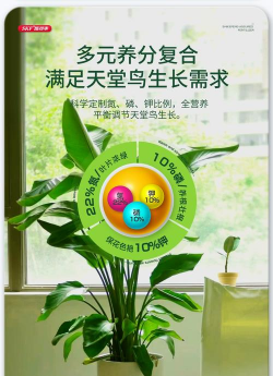 家庭养花用生根粉