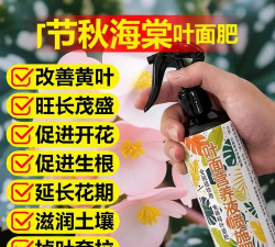 家庭养花用生根粉