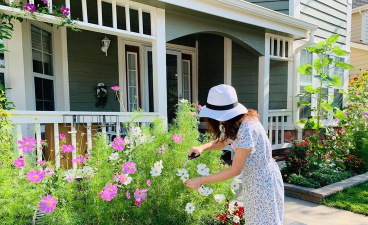 家庭养花用生根粉