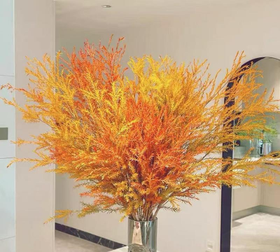 千层金开什么颜色的花