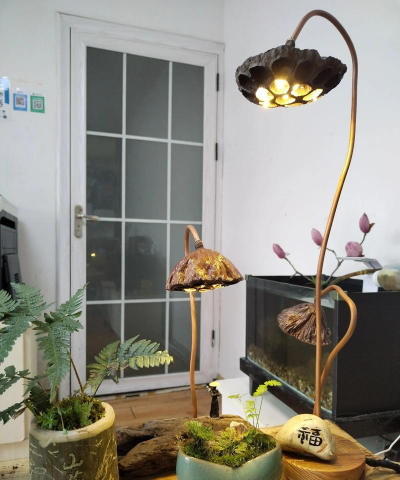 家庭养花保湿蓬