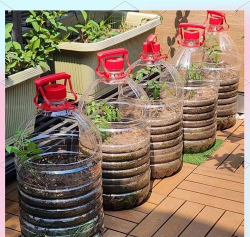 家庭养花用生根粉