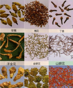 花卉药材有哪些
