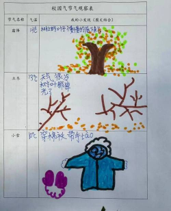 寒露养花怎么过冬