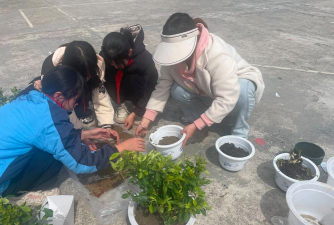 家庭养花用生根粉