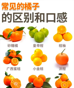 柑橘常见种类有哪些柑橘品种大全介绍