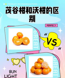 沃柑和茂谷柑怎么辨别 沃柑和茂谷柑怎么辨别