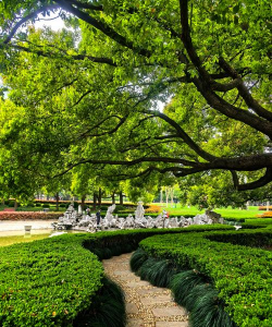 上海绿化怎么样