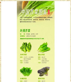 芥菜的种类有哪些