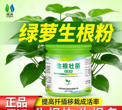 家庭养花用生根粉