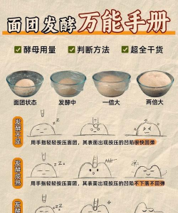 基质发酵的方法 基质发酵的方法