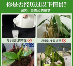 家庭养花用生根粉