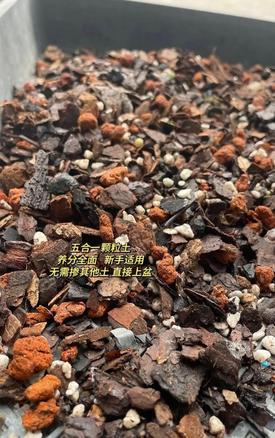 家庭养花用生根粉