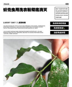 家庭养花用生根粉