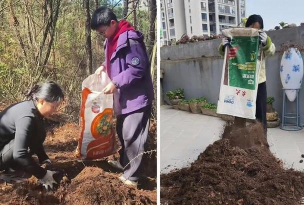 家庭养花用生根粉