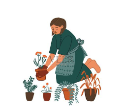 家庭养花用生根粉