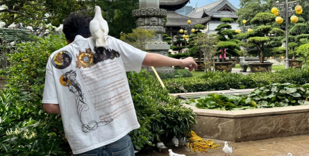 家庭养花用生根粉