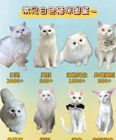 白品种有哪些品种