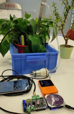 家庭养花用生根粉