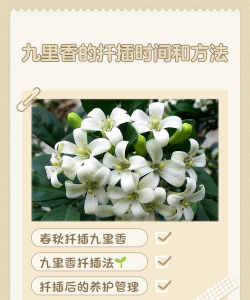 家庭养花用生根粉