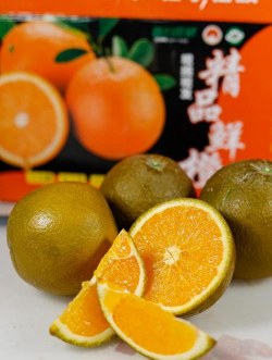 秭归脐橙品种特性，秭归脐橙有哪些品种