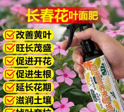 家庭养花用生根粉