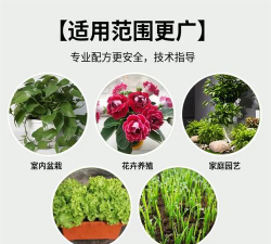 家庭养花用生根粉