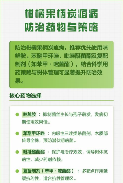 柑橘炭疽病用什么治柑橘炭疽病防治要点