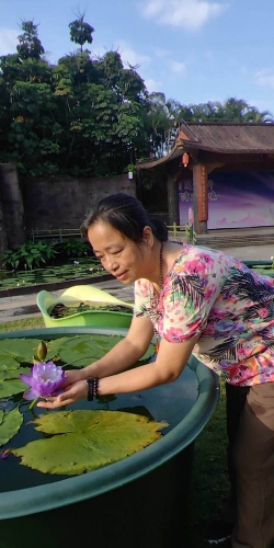 家庭养花用生根粉