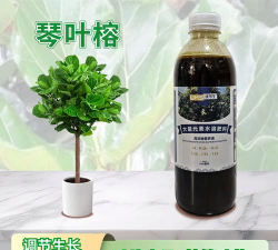 家庭养花用生根粉