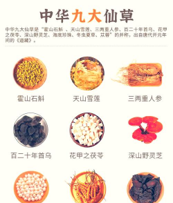 十大仙草是什么东西