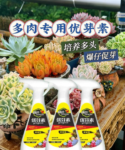 家庭养花用生根粉