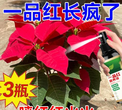 家庭养花用生根粉