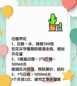 家庭养花用生根粉