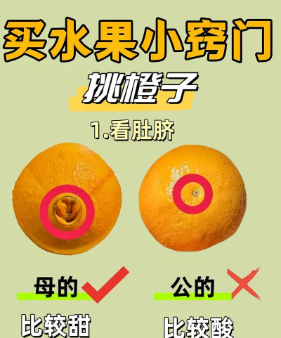 脐橙怎么挑选